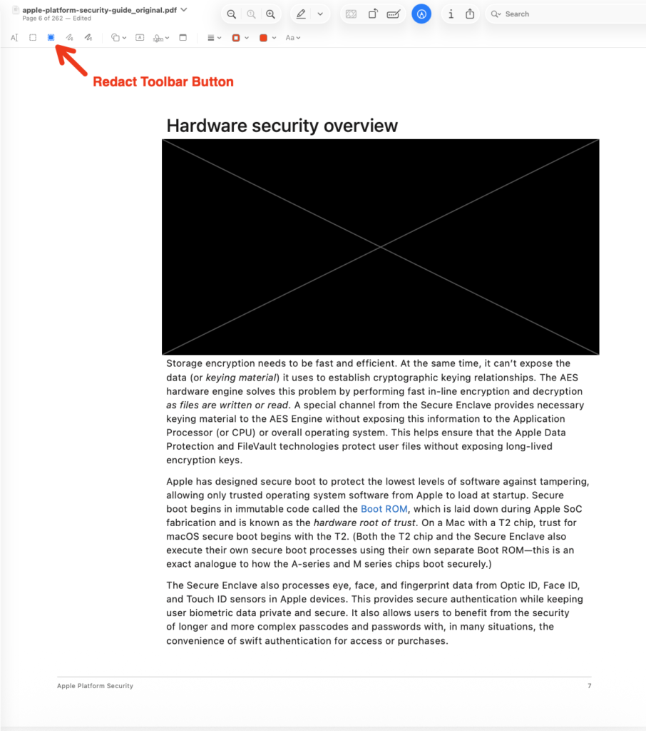 A screenshot of a PDF document showing the redact button on the toolbar and an example of a redacted paragraph.